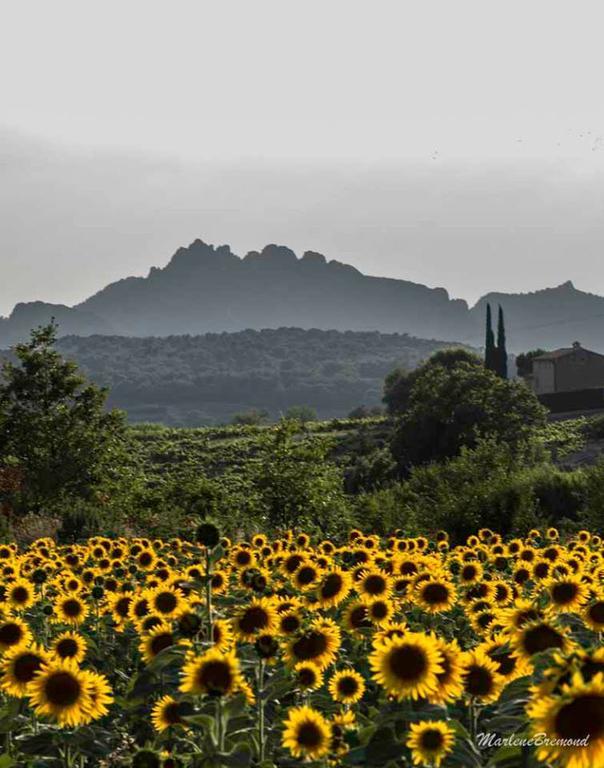 Chambres D'Hotes Aux Tournesols Malaucène Exterior foto